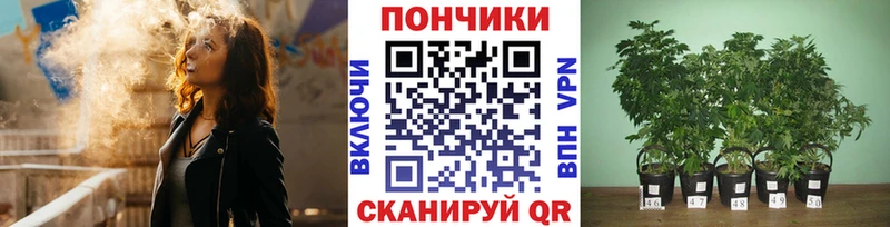 Галлюциногенные грибы Осташков